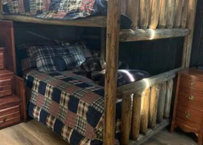 Holiday home Lynx Lux 6-br Housesleeps 22hot Tubgame Rm *